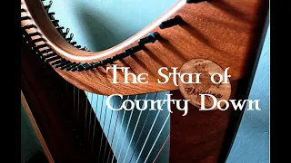 The Star of County Down on Celtic Folk Harp