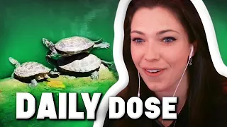 Reved REAGIERT auf 3 neue Daily Dose! 😮