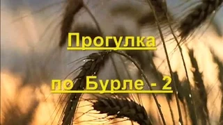 Бурла 2014. Прогулка по Бурле-2