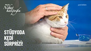 Stüdyoda kedi sürprizi -  Nihat Hatipoğlu ile  Kur’an ve Sünnet 4 Eylül Pazar 2022