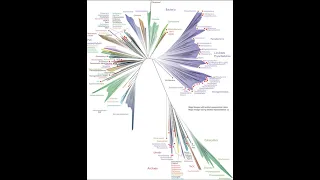 1406 Lecture Taxonomy, Phylogeny and Chemistry