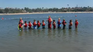 Synchronized Swimming with Pug