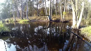 Tajemnicza czarna rzeczka w dżungli | Nowe łowiska wędkarskie