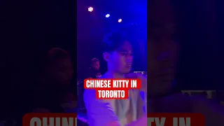 Chinese Kitty Shows Love To Top5 In Toronto!