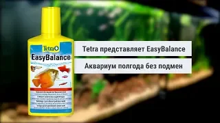 Аквариум полгода без подмен с Tetra EasyBalance. Честный эксперимент.