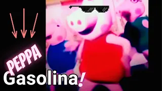 Peppa Pig dances to Gasolina. (meme)