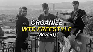 Organize - WTD Freestyle (Sözleri)