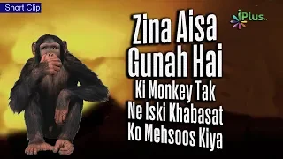 Zina Aisa Gunah Hai Ki Monkey Tak Ne Bhi Iski Khabasat Ko Mehsoos Kiya By Muhammad Muaz Abu Quhafah