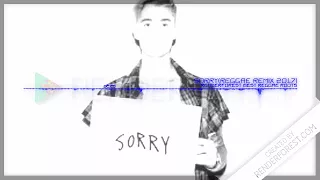 Sorry( Reggae Remix 2017)