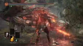 Soul of Cinder vs Abyss Watchers , Crystal Sage and ALL Farron Keep 8XHP enemies