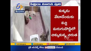 Dog Miraculously Survives | After Getting Trapped in Toilet with Leopard  | in Karnataka