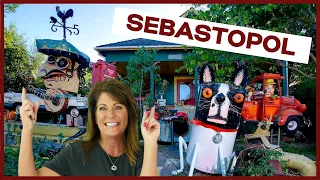 Sebastopol, CA Explained [EVERYTHING YOU NEED TO KNOW] Living in Sonoma County, CA