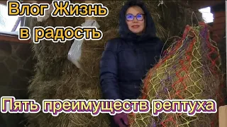 Пять преимуществ рептуха .