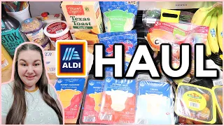 UNDER $100 ALDI WEEKLY GROCERY HAUL | 1-Week Haul & Meal Plan | MAY 2023