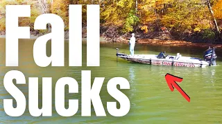 The #1 REASON Anglers STRUGGLE In The FALL