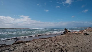 Lincoln City King Tide