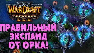 ПРАВИЛЬНЫЙ ЭКСПАНД ОТ ОРКА: Simmons (Orc) vs Happy (UD) Warcraft 3 Reforged