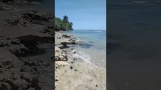 Playa Ponce Puerto Rico