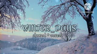Winter Days full song | slowed & reverb | #lofimusicworld73 #trending #viral #song #haryanvisong