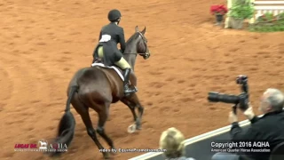 A Judges Perspective: 2016 AQHA Amateur Working Hunter