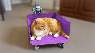 I Built a Train for My Cat