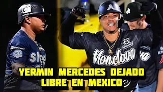 INCREIBLE 😲 En Mexico tambien se Deshicieron de Yermin Mercedes