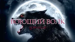 Воющий Волк (Crying Wolf) 2O15