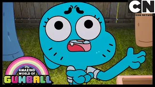 No One Knows Why Nicole Is Upset | The Fuss | Gumball | Cartoon Network
