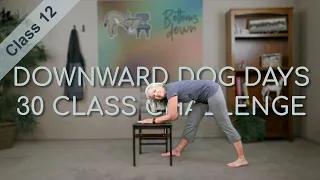 Chair Yoga - Dog Days Class 12 - 31 Minutes More Seated, Some Standing