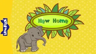 New Home | Early Learning | Animals | Little Fox | Bedtime Stories