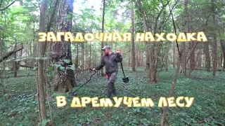 В поиске лесных артефактов!Загадочная находка в дремучем лесу!