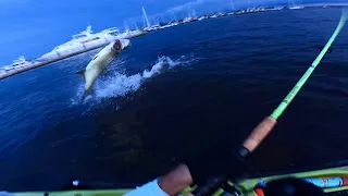 This Fish Almost Jumped In The Kayak!!! Inshore Tidal River Florida Fishing