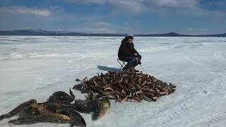 Большая рыбалка 2018 года на озере Орон в конце марта с сыном. Подводное видео. Десять дней рыбалки.