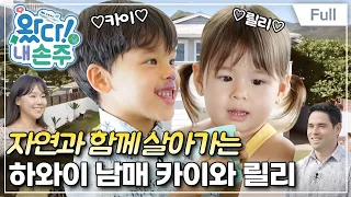 [Full] 왔다! 내 손주 - 하와이 작은 마을에서 온 꾸러기 두 손주(1)