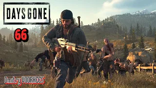 Прохождение Days Gone ''Жизнь после''  #  66  {2019} Ps5