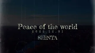 Peace of the world