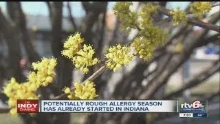 Indianapolis ranks 59 on list of worst U.S. cities for spring allergy sufferers