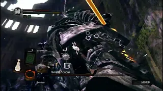 Beating Artorias until Elden Ring's DLC is released - Day 21, Ninja Havel