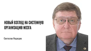 Новый взгляд на системную организацию мозга. Святослав Медведев