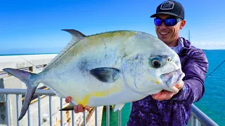 Rare Fish on Public Bridge! Catch Clean Cook (FL Keys Bridge Fishing)