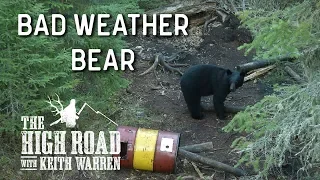 Bad Weather Bear Air Rifle Hunting | The High Road with Keith Warren