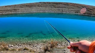 Catching Mammoth Trout Most Could Only Dream Of From Manmade Canal!