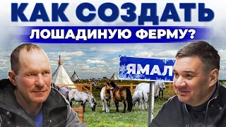 Конюшня за полярным кругом! Прибыльна ферма в Салехарде | Лучшие породы лошади | Андрей Даниленко