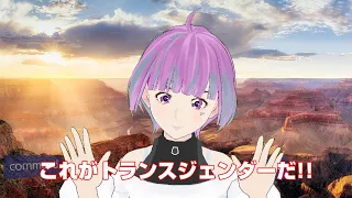 【3tene/VRoid】ちょっとトランスジェンダーしてみた【VTuber?的な何かを実演】