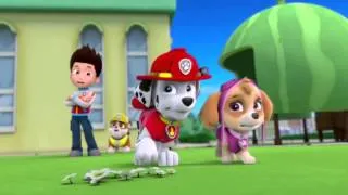 Marshall (from PAW Patrol) in action (hall of fame)