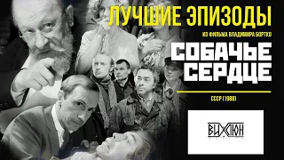 Лучшие эпизоды из фильма Собачье сердце (СССР 1988г)