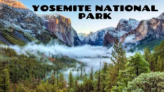 TRAVEL GUIDE: Visiting Yosemite National Park