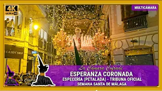 ESPERANZA MÁLAGA 2024. ESPECERÍA (PETALADA)-TRIBUNA OFICIAL. SEMANA SANTA MÁLAGA. MULTICÁMARA 4K