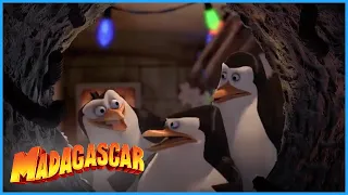 A Secret Christmas Mission 👀 | Penguins of Madagascar | Mini Moments