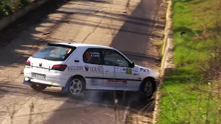 7° Rally Vigneti Monferrini 2024 | CRASHES & MISTAKES! [HD]